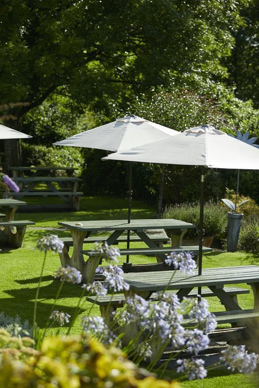 Hotel The Wheatsheaf Combe Hay Wellow  Exteriér fotografie